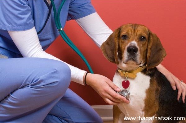 أكثر الصناعات المتنامية في العالم، ثقف نفسك 7