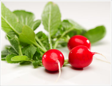 الفجل. ثقف نفسك 222 الفجل فوائد مدهشة