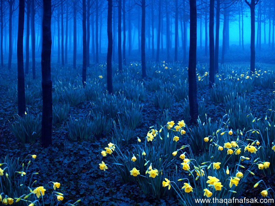 عالمنا . ثقف نفسك 11