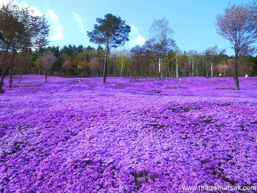 عالمنا . ثقف نفسك 15