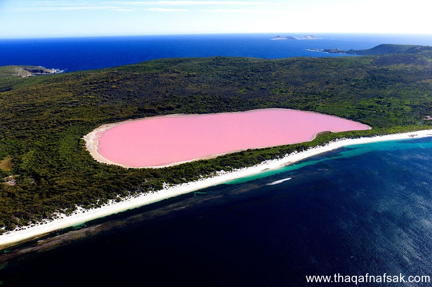 عالمنا . ثقف نفسك 17