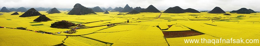 عالمنا . ثقف نفسك 200