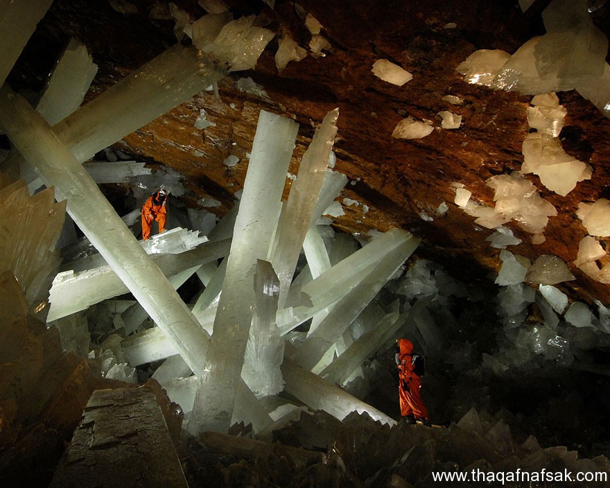 عالمنا . ثقف نفسك 99