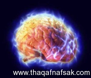 فوائد الفراولة .. ثقف نفسك