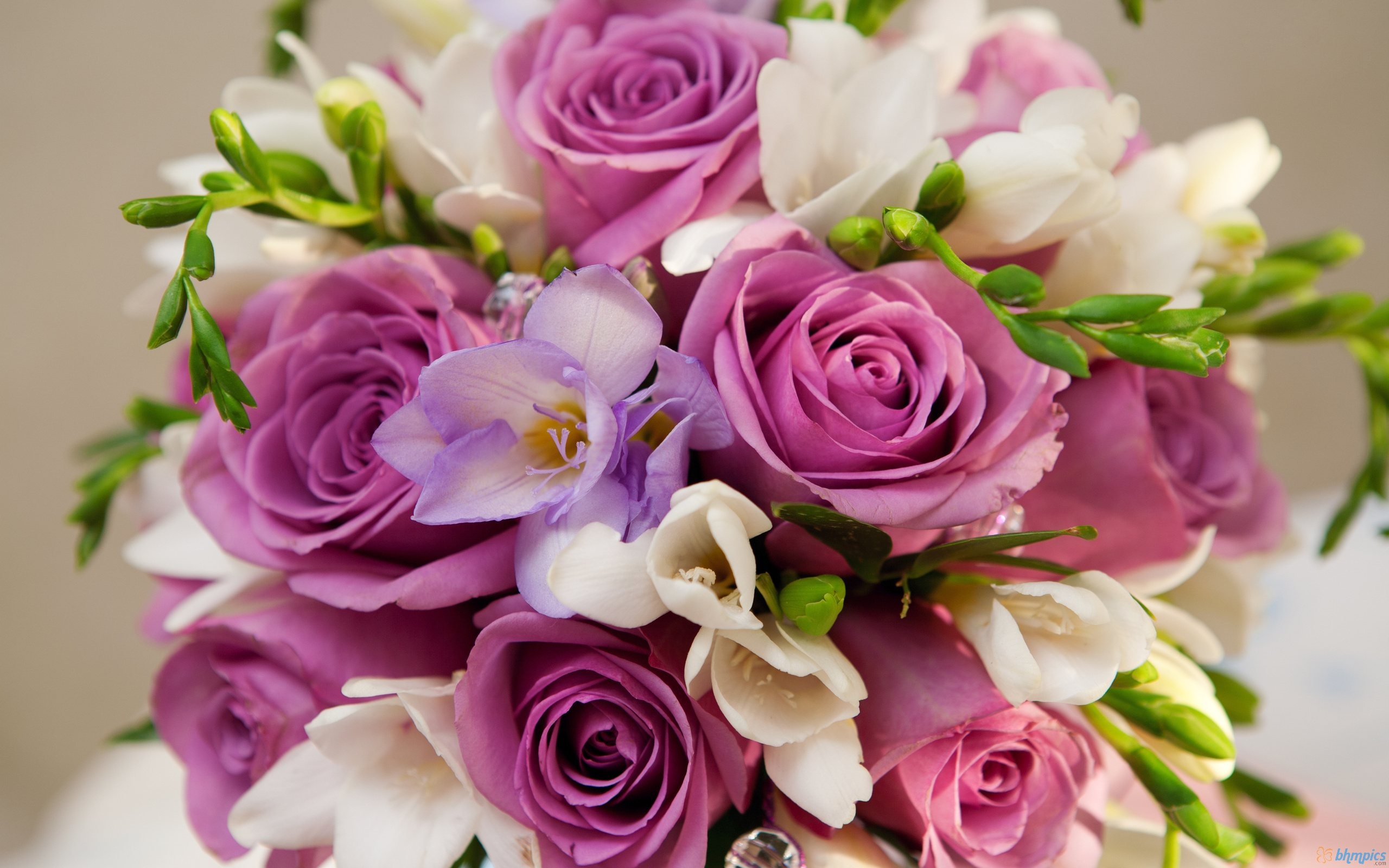 beautiful-purple-white-flowers-bouquet-660713