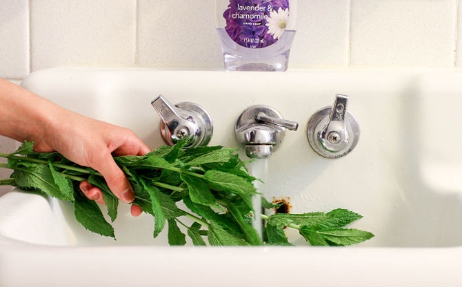 طريقة عمل زيت النعناع بالمنزل