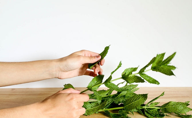 طريقة عمل زيت النعناع بالمنزل