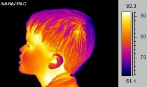 ذوات الدم الحار وذوات الدم البارد