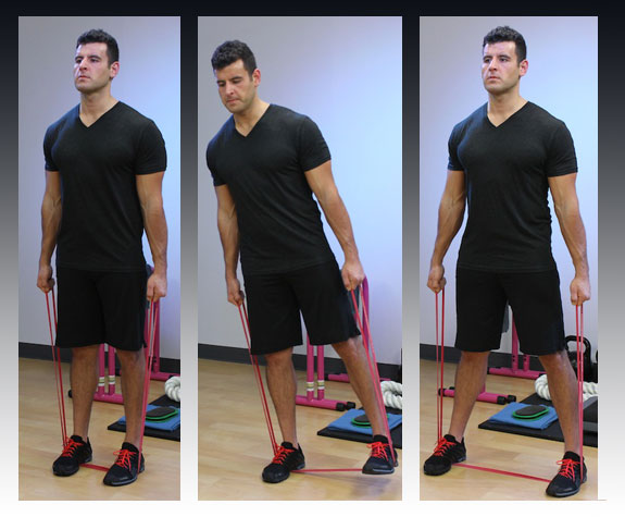 تقوية العضلات