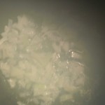 عمل مقلوبة الباذنجان بقطع الدجاج
