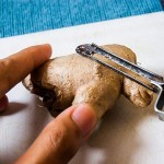 الزنجبيل لعلاج المعدة - ثقف نفسك 1