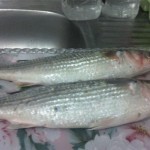 عمل الفسيخ بطريقة أمنة و بسيطة 3