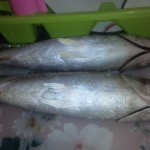 عمل الفسيخ بطريقة أمنة و بسيطة 7