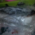 عمل الفسيخ بطريقة أمنة و بسيطة 9