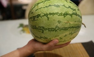 اكتشاف نضج البطيخة من عدمه قبل الشراء، ثقف نفسك 2