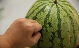 اكتشاف نضج البطيخة من عدمه قبل الشراء، ثقف نفسك 4