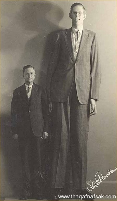 اطول 10 رجال في العالم
