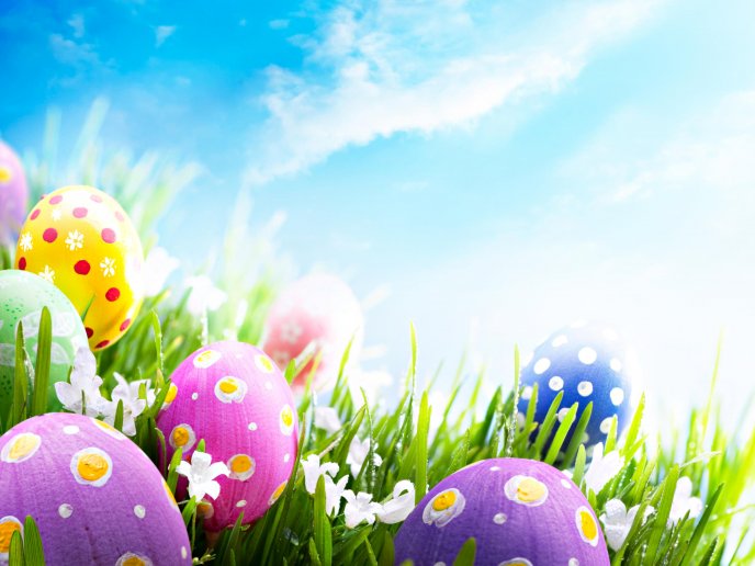 4475_Colored-eggs-among-flowers-and-grass