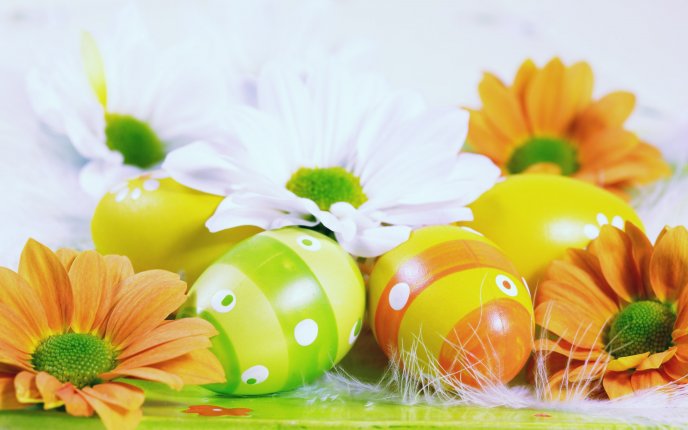 4484_Special-ornament-for-Easter-painted-eggs-and-flowers