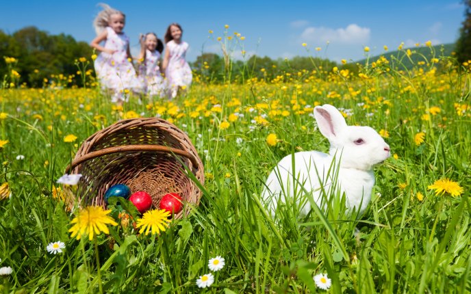 4497_Easter-basket-spring-time