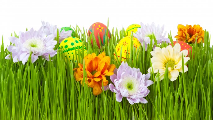 6908_Colored-eggs-hidden-in-the-grass-Happy-Easter-Holiday