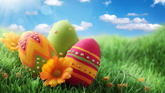 6919_Three-painted-Easter-egss-in-the-grass-Happy-Holiday