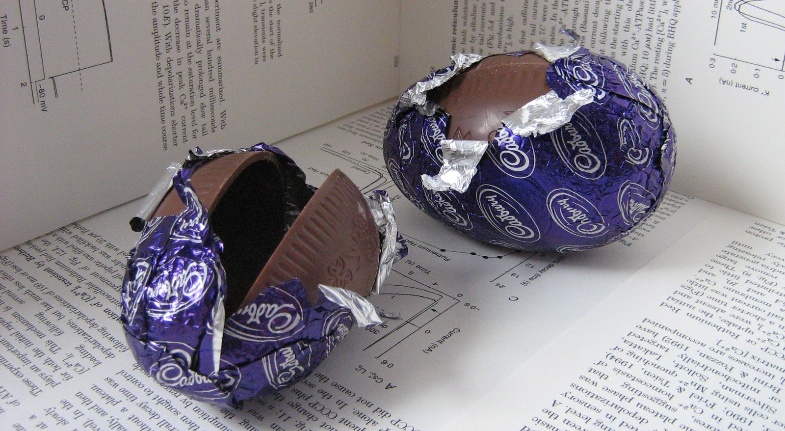 Chocolate_Easter_egg