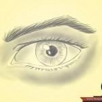 كيف ترسم العين البشرية الحقيقية، ثقف نفسك 4