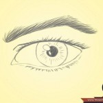 كيف ترسم العين البشرية الحقيقية، ثقف نفسك 6