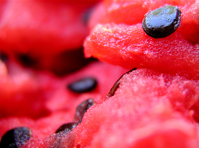 فوائد بذور البطيخ