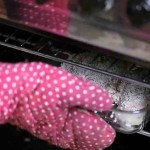 صدور الدجاج بجبن البارميزان - ثقف نفسك 8