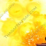 طريقة عمل البريوش بالصور من مطبخ ثقف نفسك