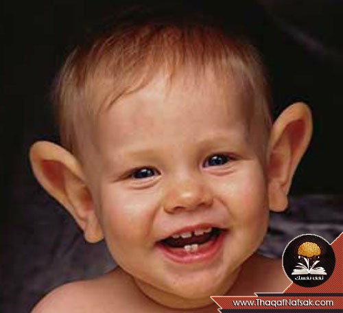 ماذا تقول اذنك عن شخصيتك وصحتك ثقف نفسك