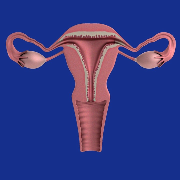 انقباض الرحم أثناء الحمل
