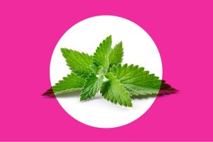 أطعمة لحرق دهون البطن