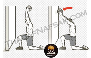 بناء العضلات