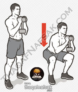 %d8%aa%d9%85%d8%a7%d8%b1%d9%8a%d9%86-%d8%a7%d9%84%d8%ad%d8%b5%d9%88%d9%84-%d8%b9%d9%84%d9%8a-%d8%ac%d8%b3%d9%85-%d8%b1%d8%b4%d9%8a%d9%82-%d9%88%d8%a8%d9%86%d8%a7%d8%a1-%d8%a7%d9%84%d8%b9%d8%b6%d9%84