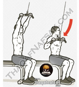 %d8%aa%d9%85%d8%a7%d8%b1%d9%8a%d9%86-%d8%a7%d9%84%d8%ad%d8%b5%d9%88%d9%84-%d8%b9%d9%84%d9%8a-%d8%ac%d8%b3%d9%85-%d8%b1%d8%b4%d9%8a%d9%82-%d9%88%d8%a8%d9%86%d8%a7%d8%a1-%d8%a7%d9%84%d8%b9%d8%b6%d9%84