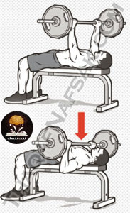 %d8%aa%d9%85%d8%a7%d8%b1%d9%8a%d9%86-%d8%a7%d9%84%d8%ad%d8%b5%d9%88%d9%84-%d8%b9%d9%84%d9%8a-%d8%ac%d8%b3%d9%85-%d8%b1%d8%b4%d9%8a%d9%82-%d9%88%d8%a8%d9%86%d8%a7%d8%a1-%d8%a7%d9%84%d8%b9%d8%b6%d9%84