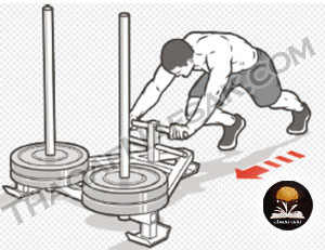 %d8%aa%d9%85%d8%a7%d8%b1%d9%8a%d9%86-%d8%a7%d9%84%d8%ad%d8%b5%d9%88%d9%84-%d8%b9%d9%84%d9%8a-%d8%ac%d8%b3%d9%85-%d8%b1%d8%b4%d9%8a%d9%82-%d9%88%d8%a8%d9%86%d8%a7%d8%a1-%d8%a7%d9%84%d8%b9%d8%b6%d9%84