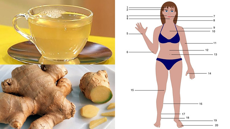 فوائد خليط العسل و الزنجبيل لن تتوقف عن تناوله من الأن ثقف نفسك