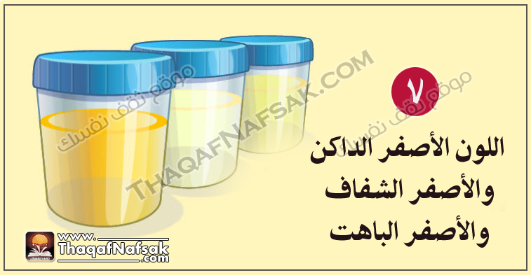 لون البول وعلاقته بالصحة الداخلية للجسم الشرح بالصور