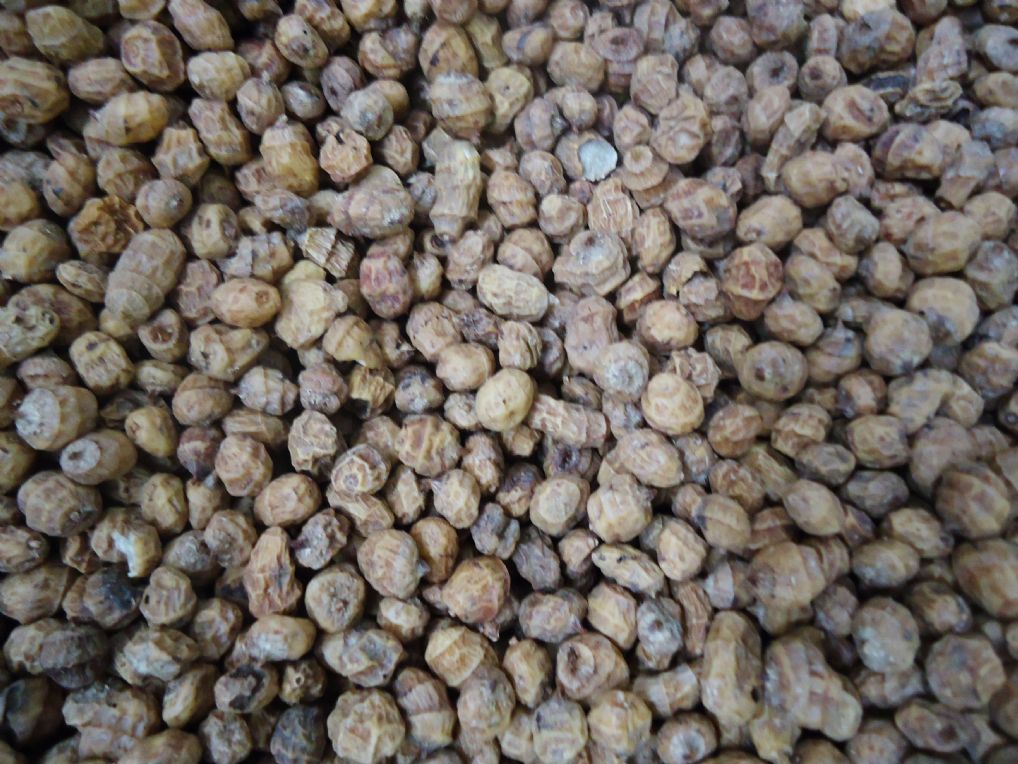 حب العزيز