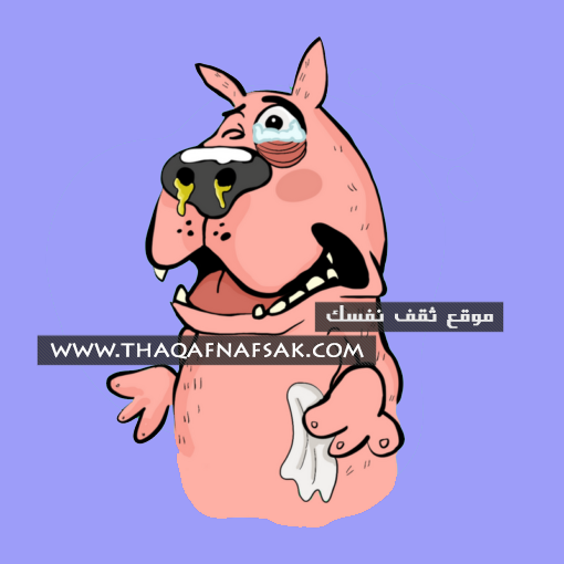 عطس الكلاب