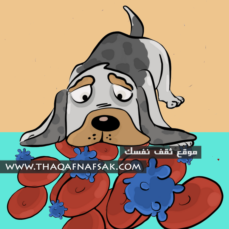 الكلب يشم السرطان
