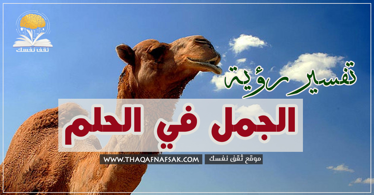 تفسير رؤية الجمل في المنام: ثقف نفسك
