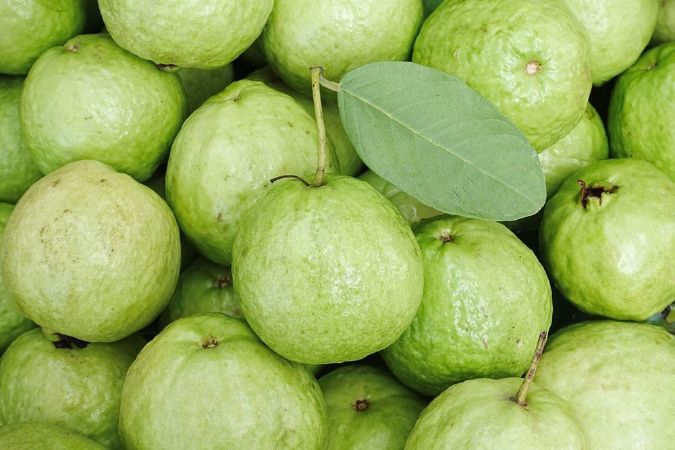 فوائد الجوافة للأطفال