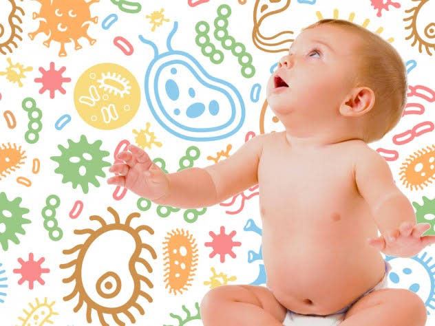 هل توجد هذه الميكروبات النافعة (الميكروبيوم أو البروبيوتيك) في أجسامنا منذ الولادة؟