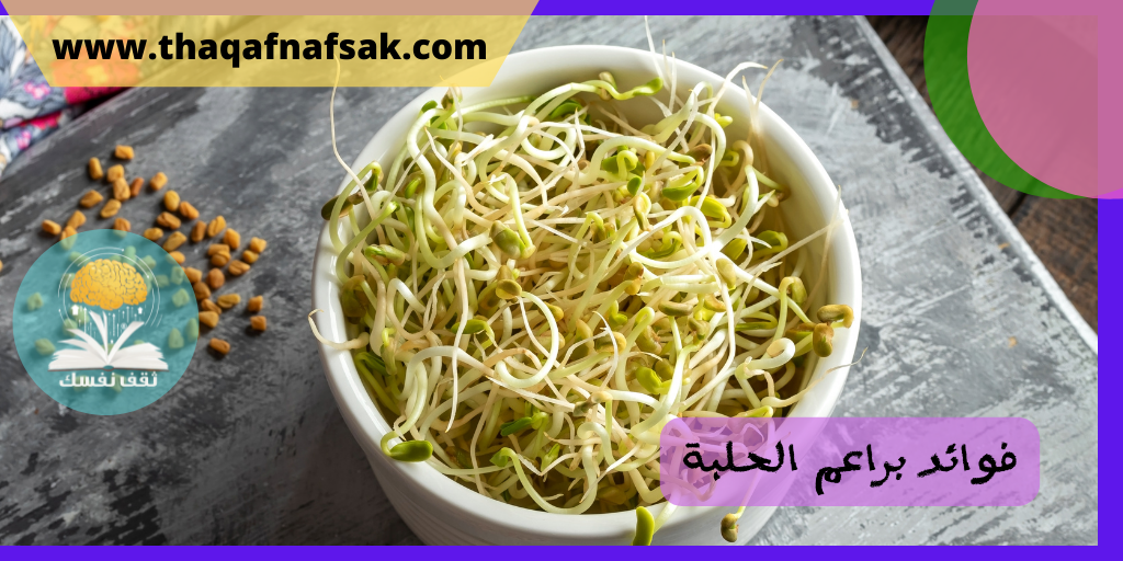 فوائد براعم الحلبة