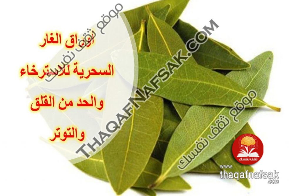 فوائد مغلى ورق الغار